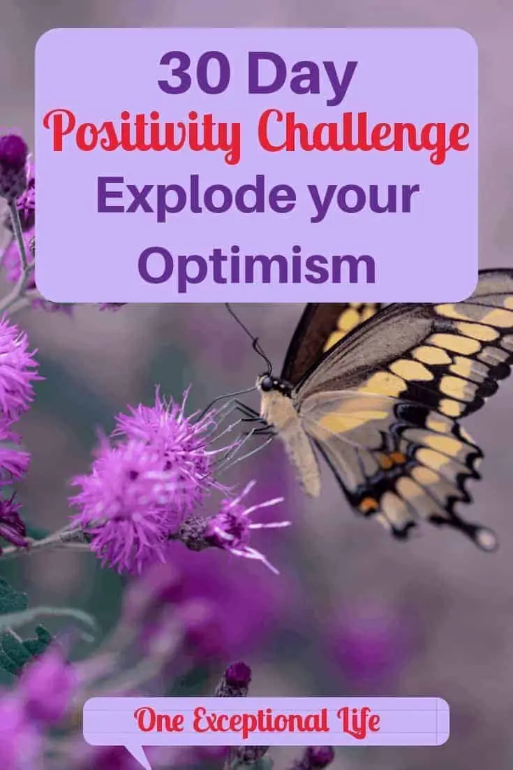 30 Day Positivity Challenge to Explode your Optimism
