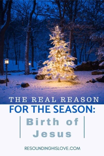 an image of a christmas tree lit up in the woods with text reading the Real Reason For The Season? Birth of Jesus