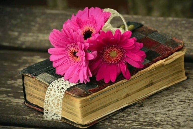 an image of a worn bible with a pink flower on top with text reading Truly Convicted: A 1 Corinthians Devotional