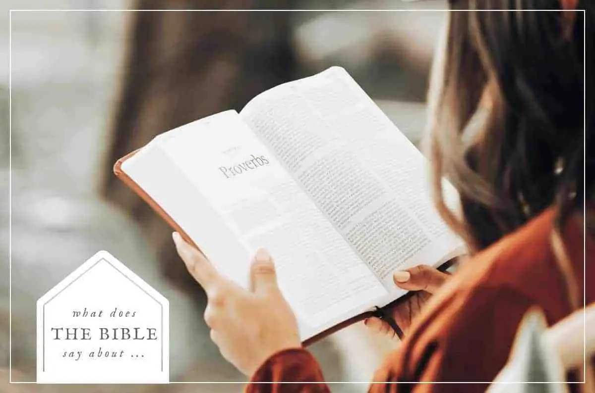 an image of a women reading an open bible featured image for What Does the Bible Say About?