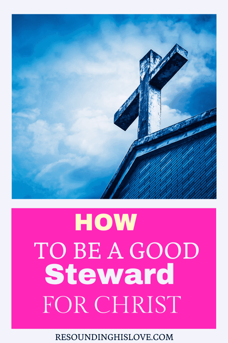 being a good steward scripture